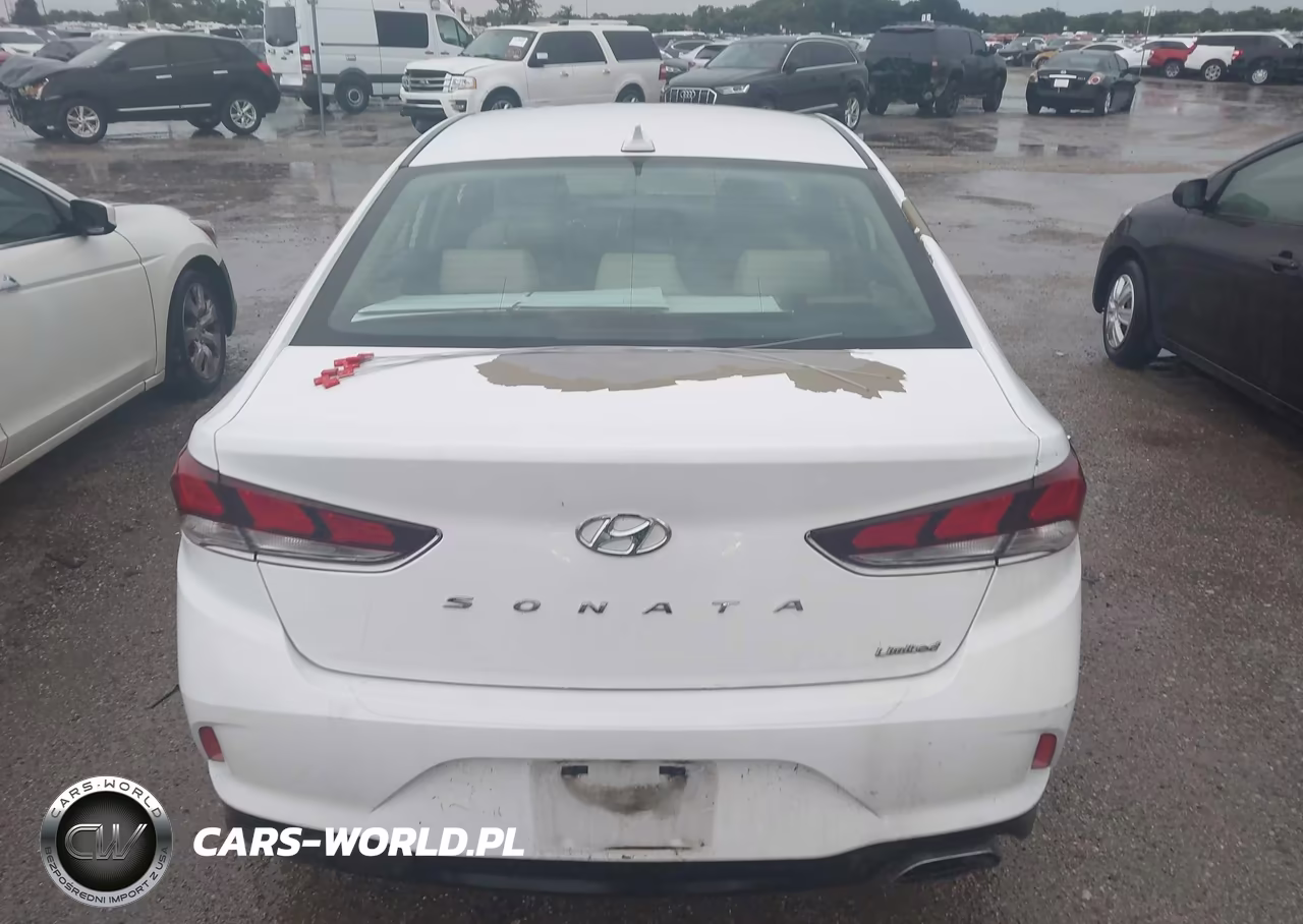 2019 Hyundai Sonata Limited VIN:5NPE34AF9KH789990 - 15
