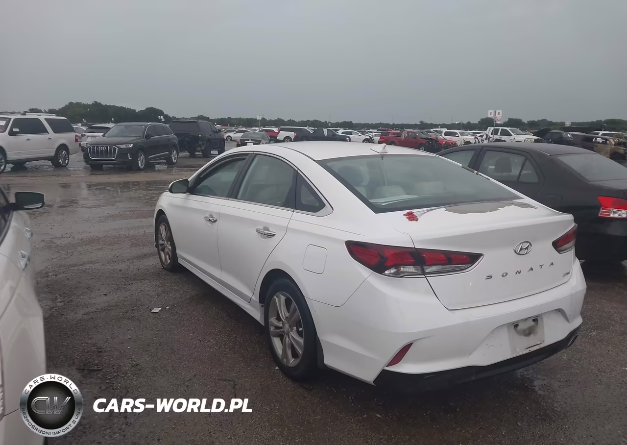 2019 Hyundai Sonata Limited VIN:5NPE34AF9KH789990 - 3