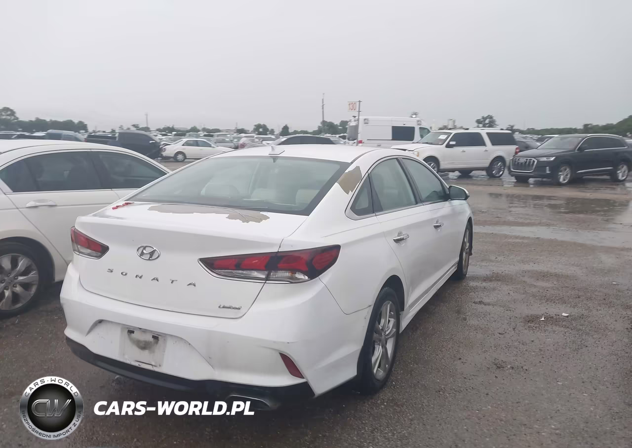 2019 Hyundai Sonata Limited VIN:5NPE34AF9KH789990 - 4