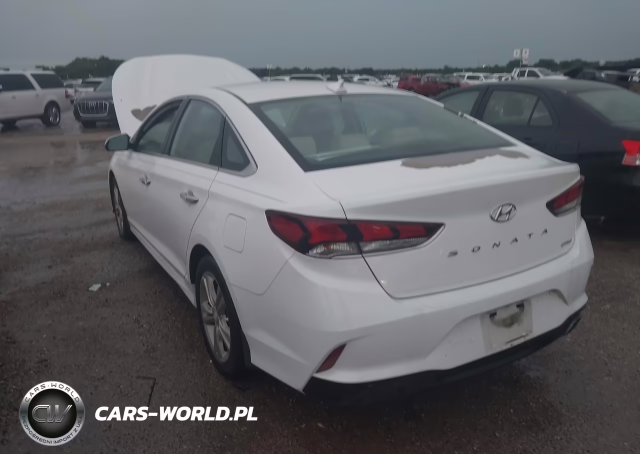 2019 Hyundai Sonata Limited VIN:5NPE34AF9KH789990 - 6
