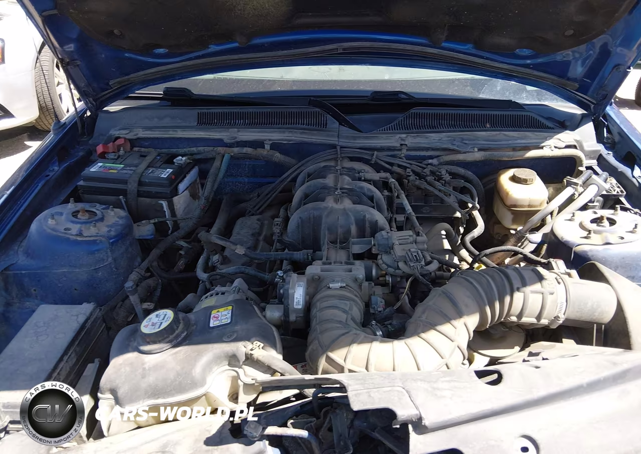 2007 Ford Mustang V6 Deluxe-V6 Premium VIN:1ZVFT80N275255318 - 10