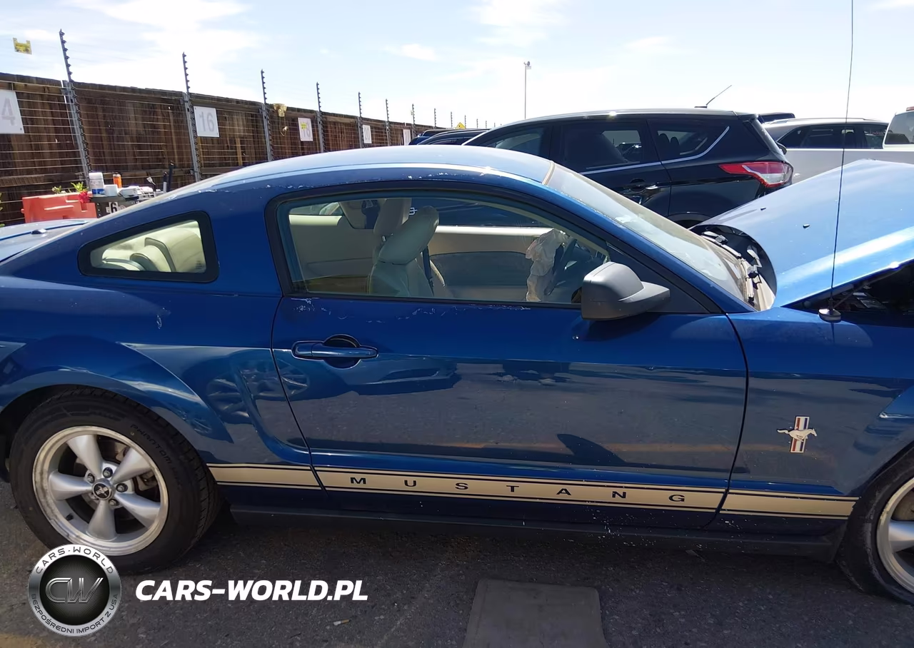 2007 Ford Mustang V6 Deluxe-V6 Premium VIN:1ZVFT80N275255318 - 13