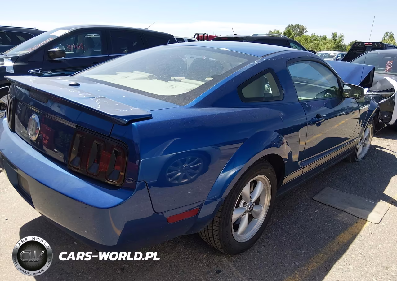 2007 Ford Mustang V6 Deluxe-V6 Premium VIN:1ZVFT80N275255318 - 4