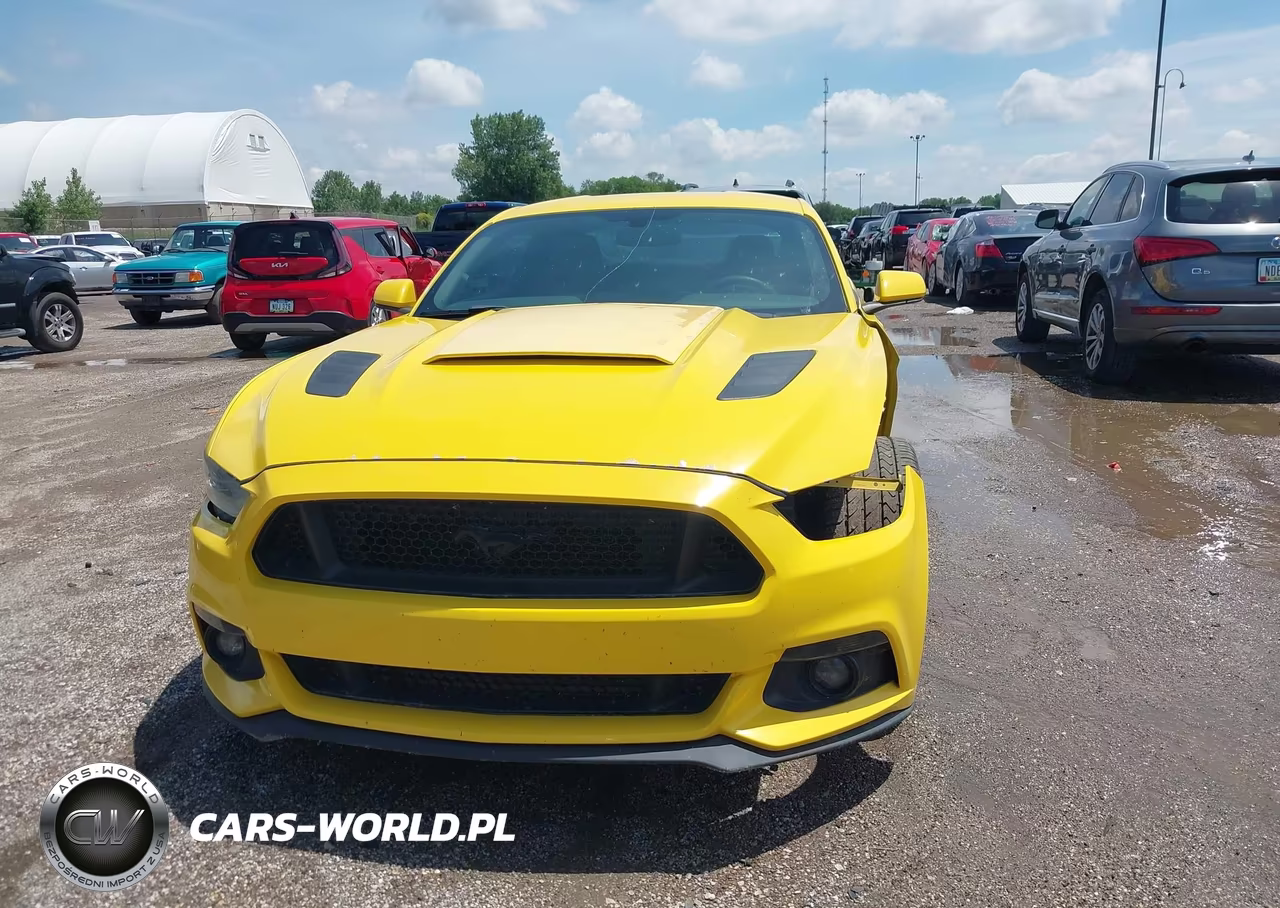 2016 Ford Mustang Gt VIN:1FA6P8CF7G5206407 - 13