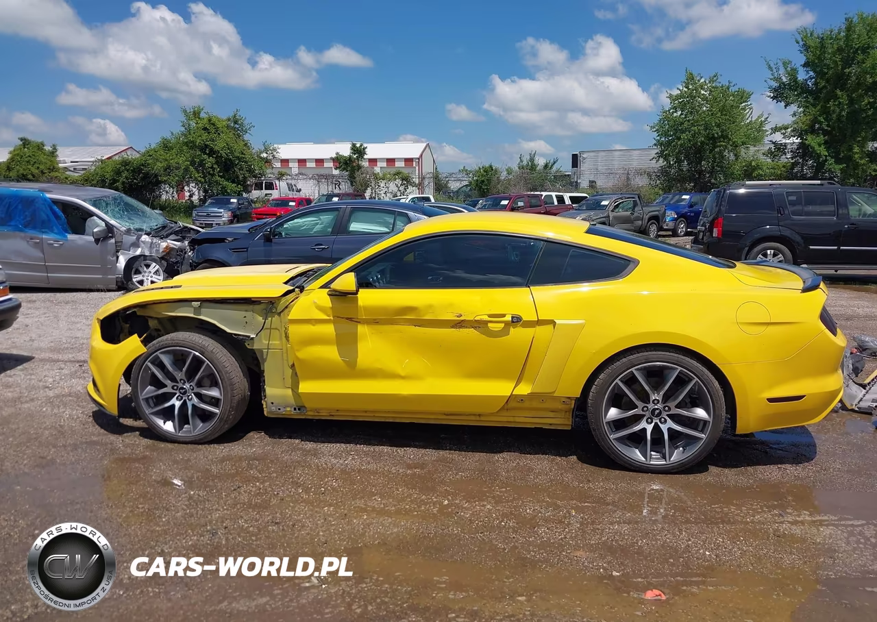 2016 Ford Mustang Gt VIN:1FA6P8CF7G5206407 - 15