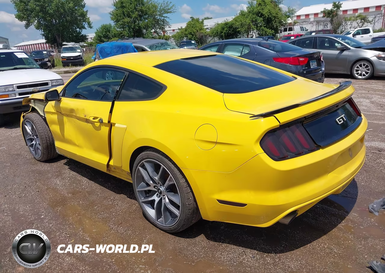 2016 Ford Mustang Gt VIN:1FA6P8CF7G5206407 - 3