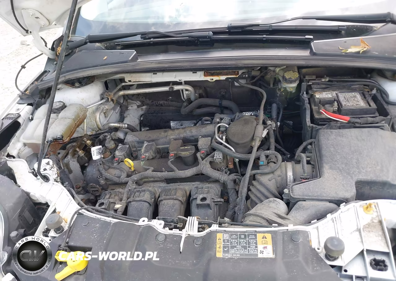 2014 Ford Focus Se VIN:1FADP3K27EL287720 - 10