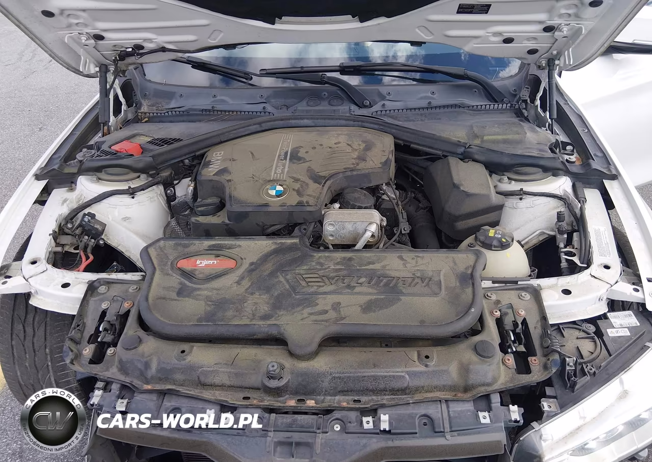 2015 BMW 428I VIN:WBA3N7C59FK222755 - 10