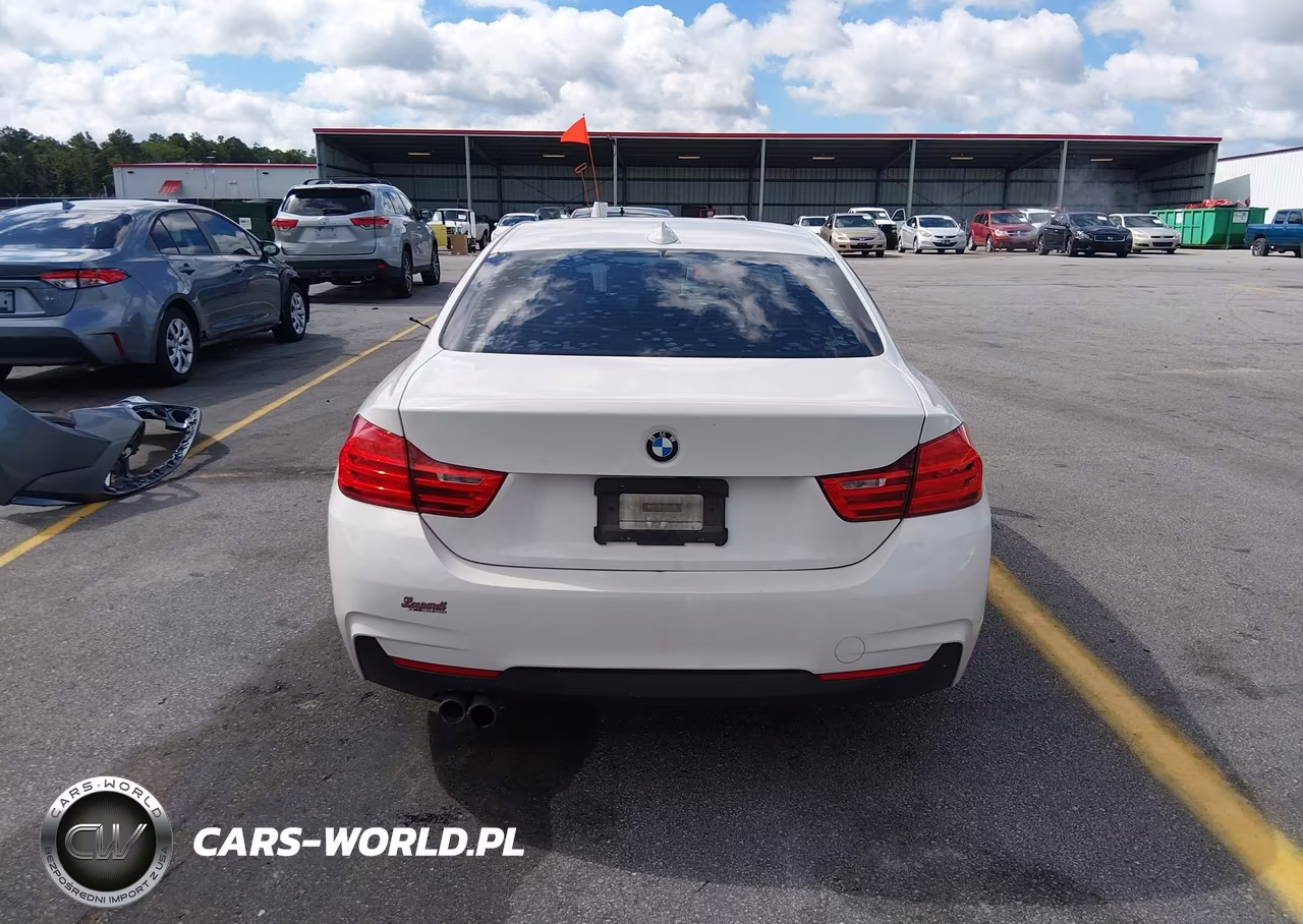 2015 BMW 428I VIN:WBA3N7C59FK222755 - 17