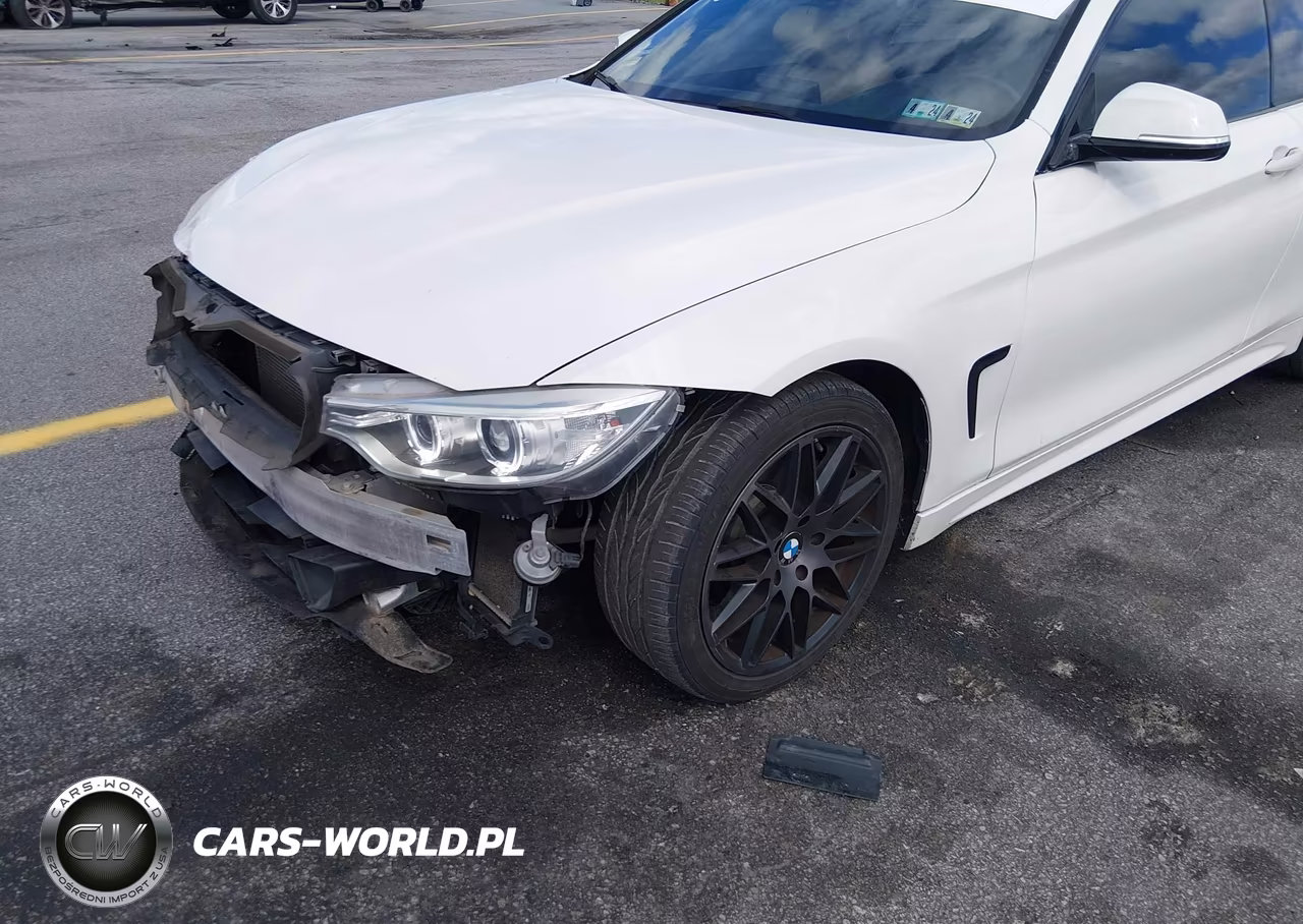 2015 BMW 428I VIN:WBA3N7C59FK222755 - 19