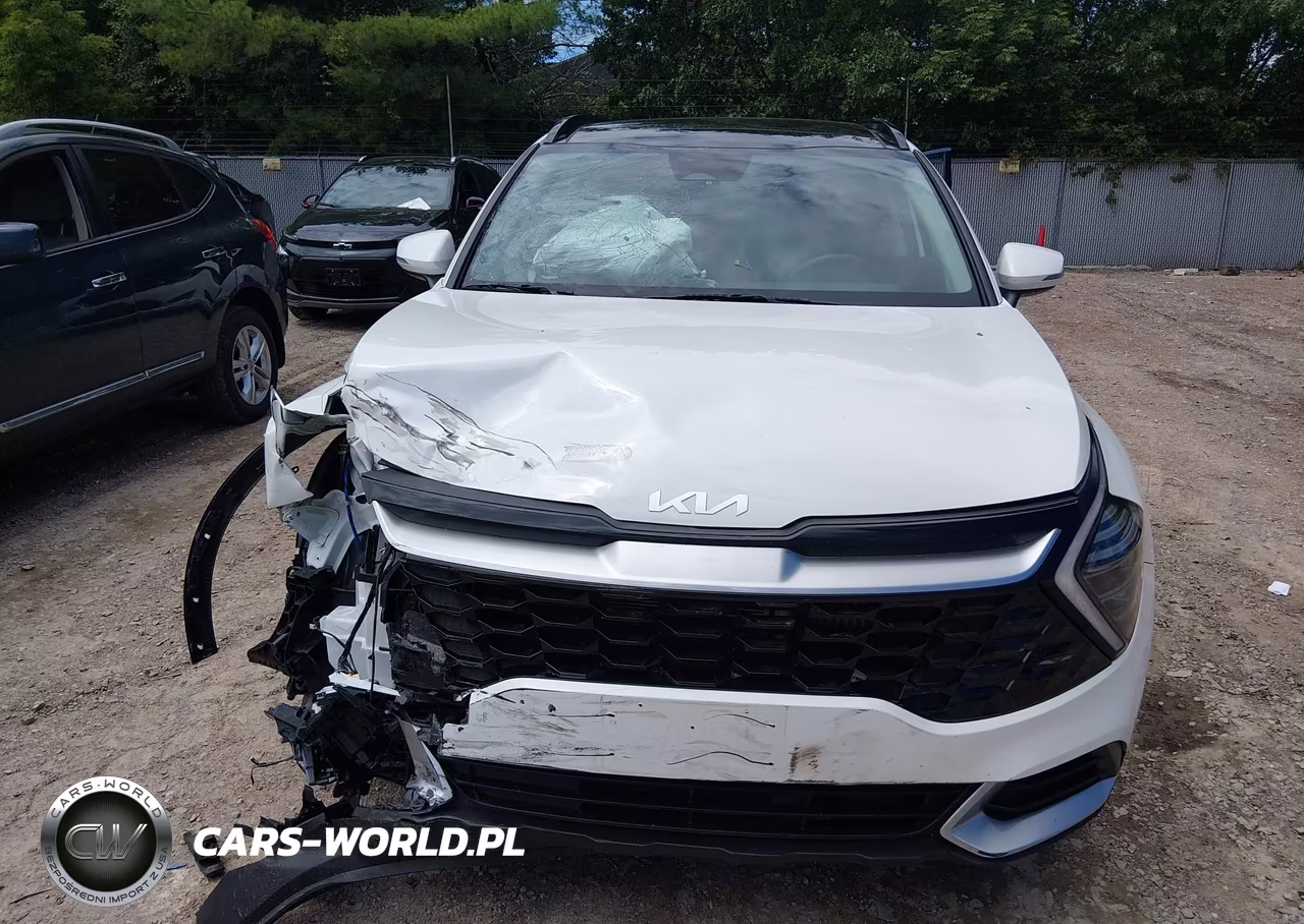 2024 Kia Sportage Hybrid Ex VIN:KNDPVCDG2R7174455 - 12