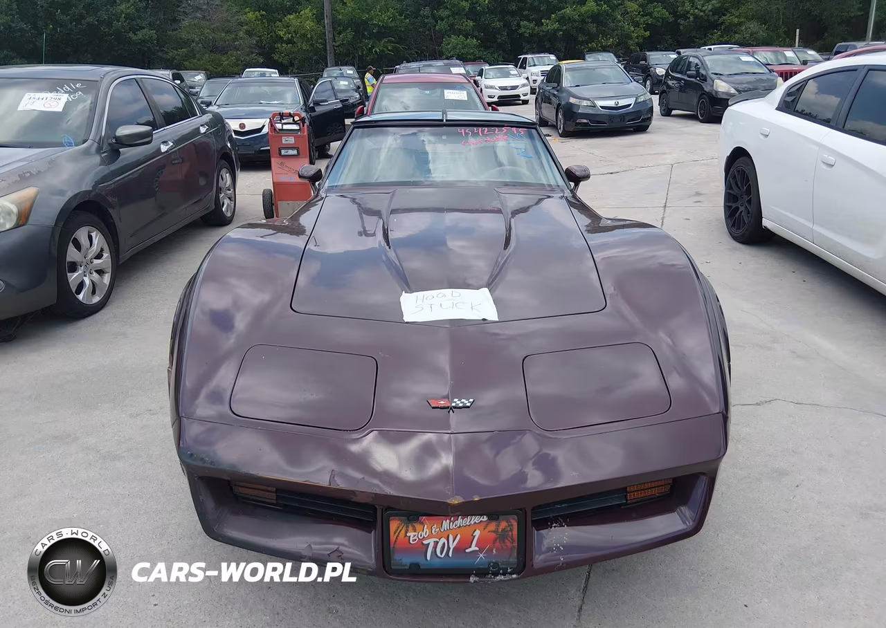 1982 Chevrolet Corvette VIN:1G1AY8782C5117120 - 12