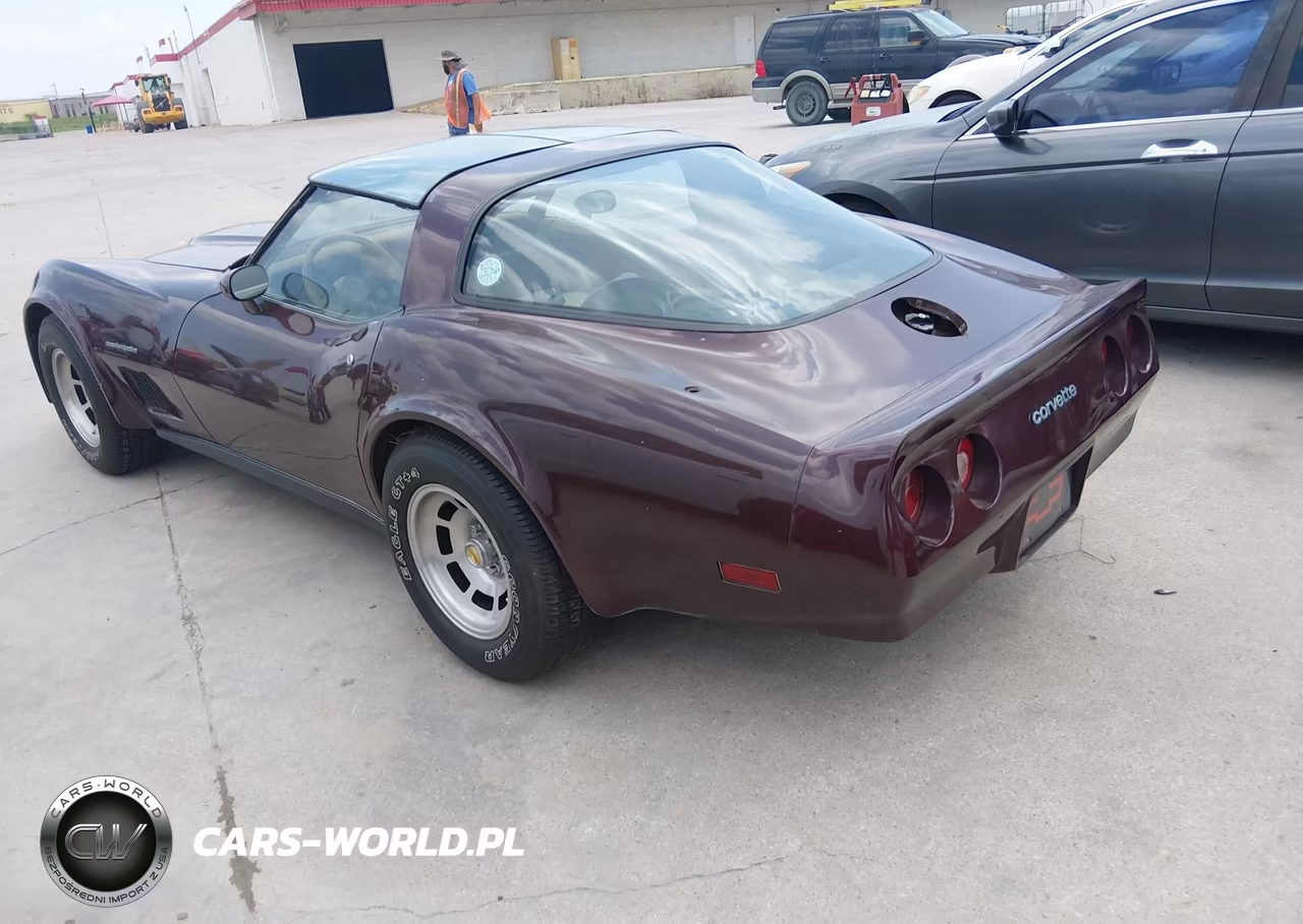 1982 Chevrolet Corvette VIN:1G1AY8782C5117120 - 3