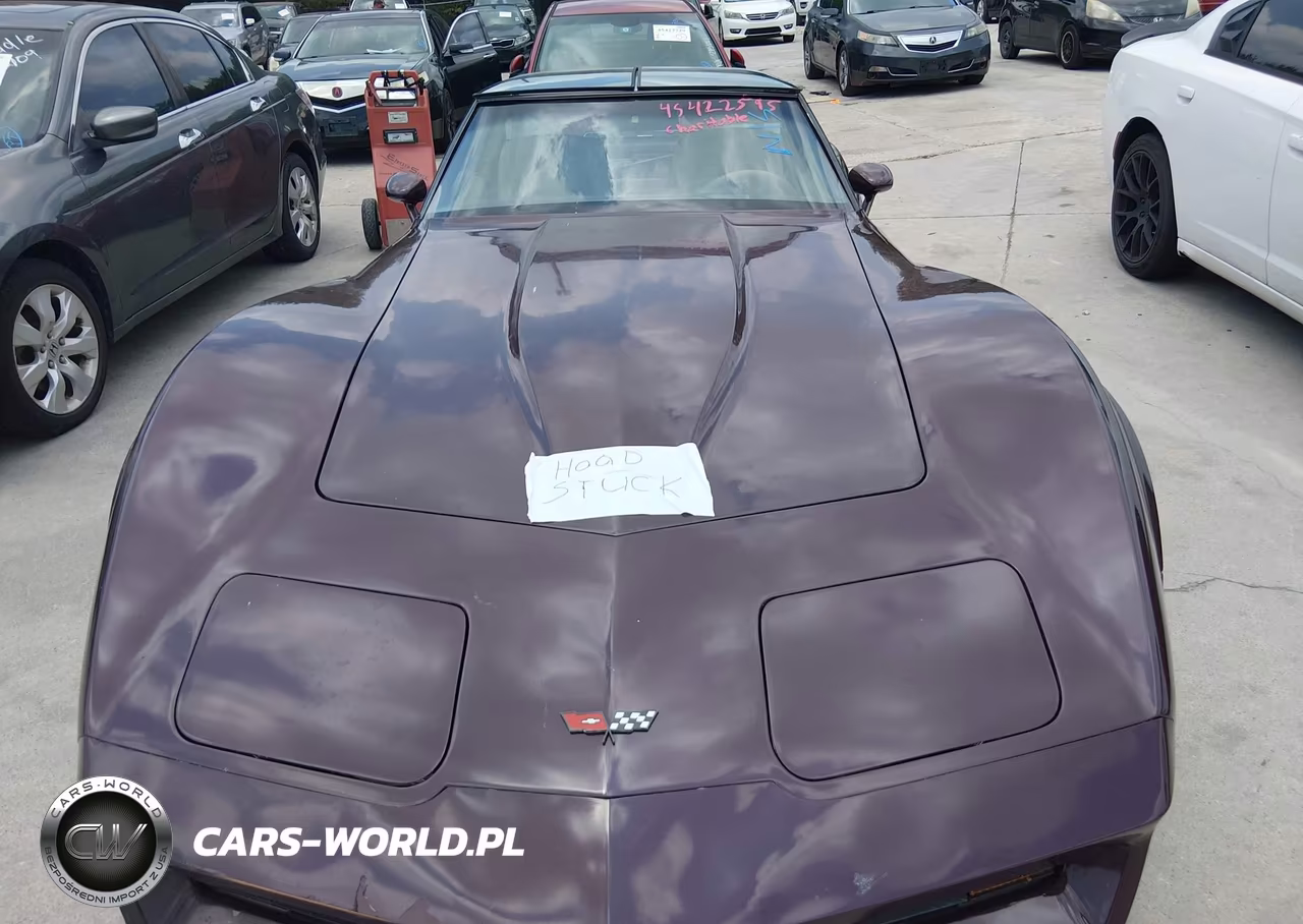 1982 Chevrolet Corvette VIN:1G1AY8782C5117120 - 6
