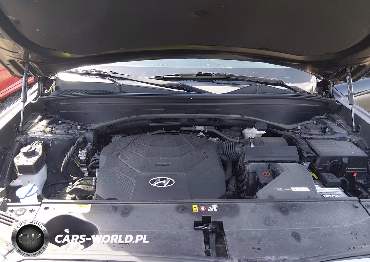 2021 Hyundai Palisade Sel VIN:KM8R3DHE2MU191453 - 10