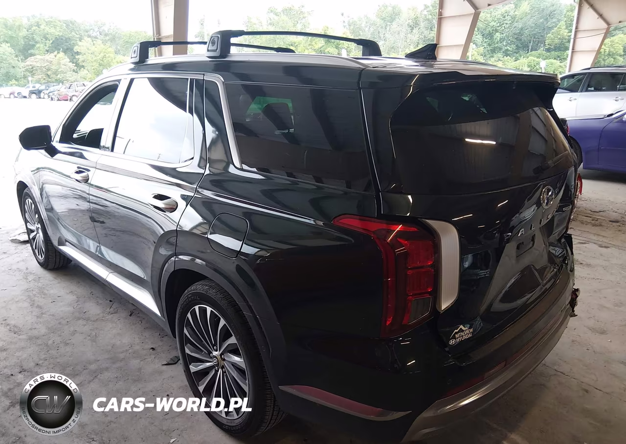2023 Hyundai Palisade Calligraphy VIN:KM8R7DGE5PU521578 - 3