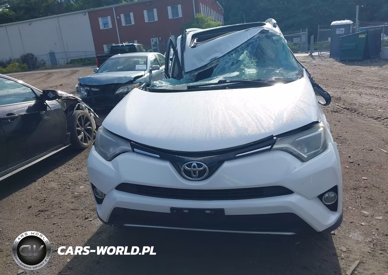2016 Toyota Rav4 Xle VIN:2T3RFREV4GW506743 - 12