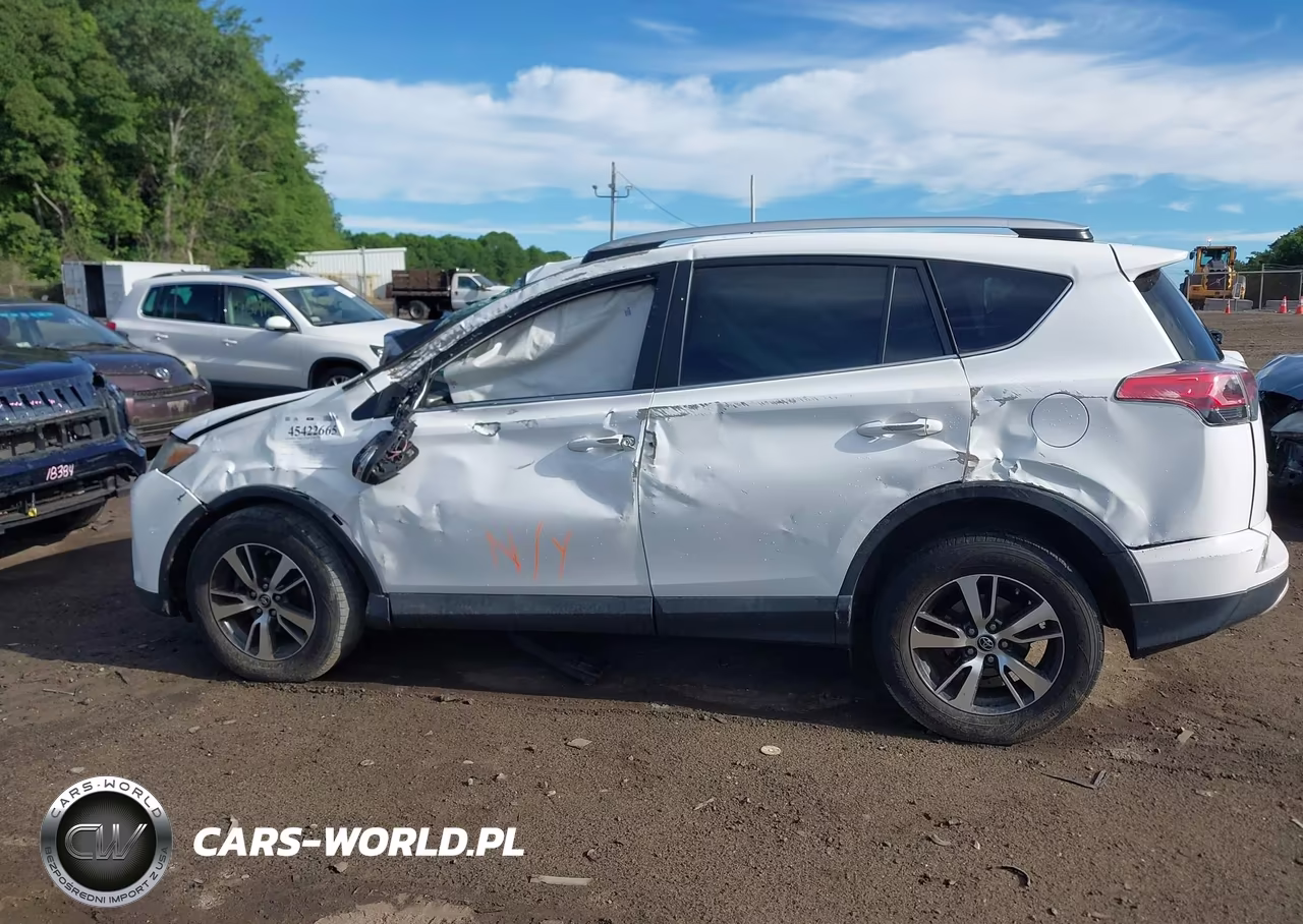 2016 Toyota Rav4 Xle VIN:2T3RFREV4GW506743 - 14