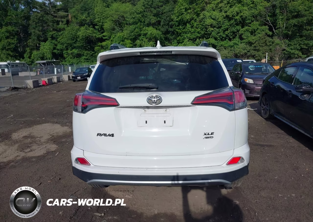 2016 Toyota Rav4 Xle VIN:2T3RFREV4GW506743 - 16
