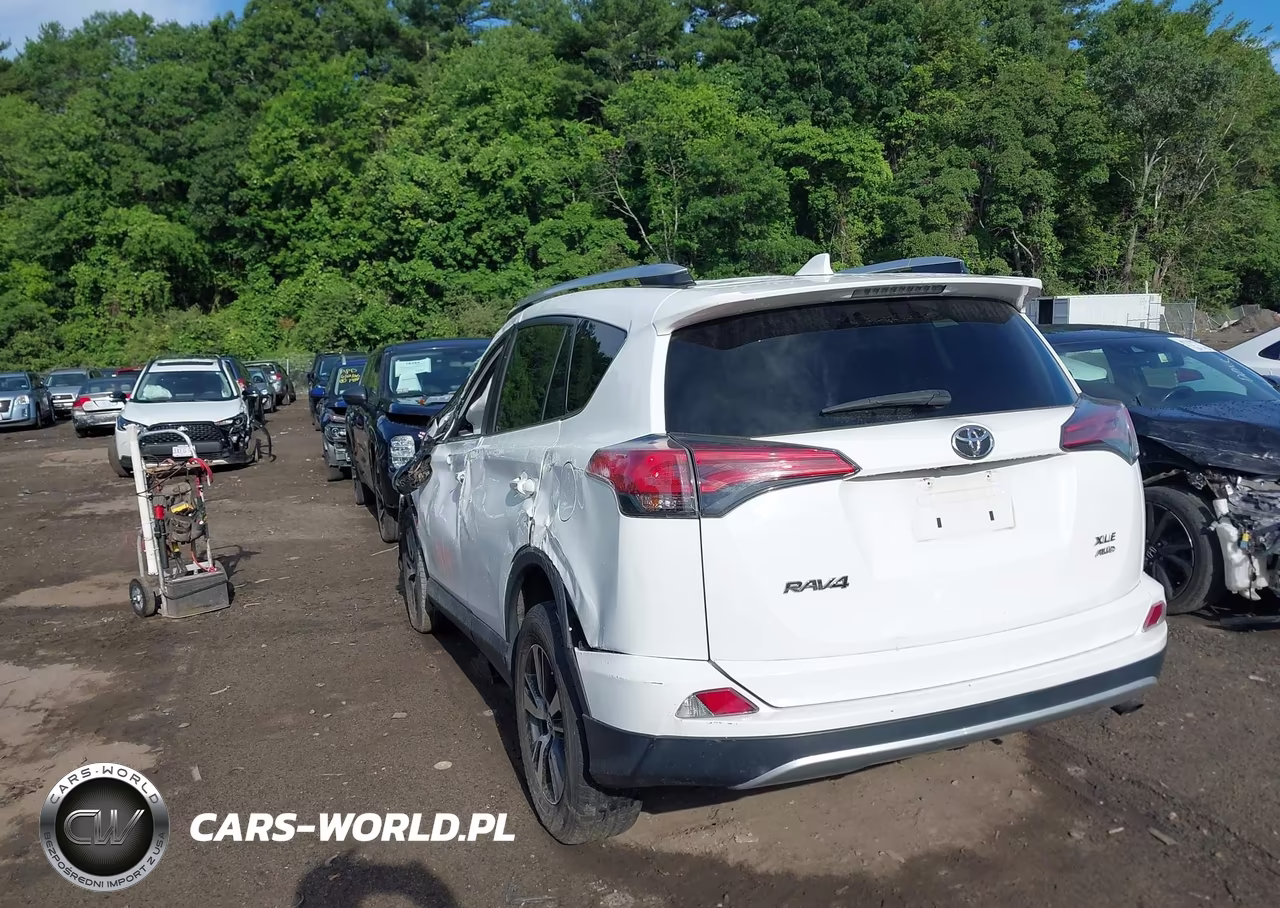 2016 Toyota Rav4 Xle VIN:2T3RFREV4GW506743 - 3