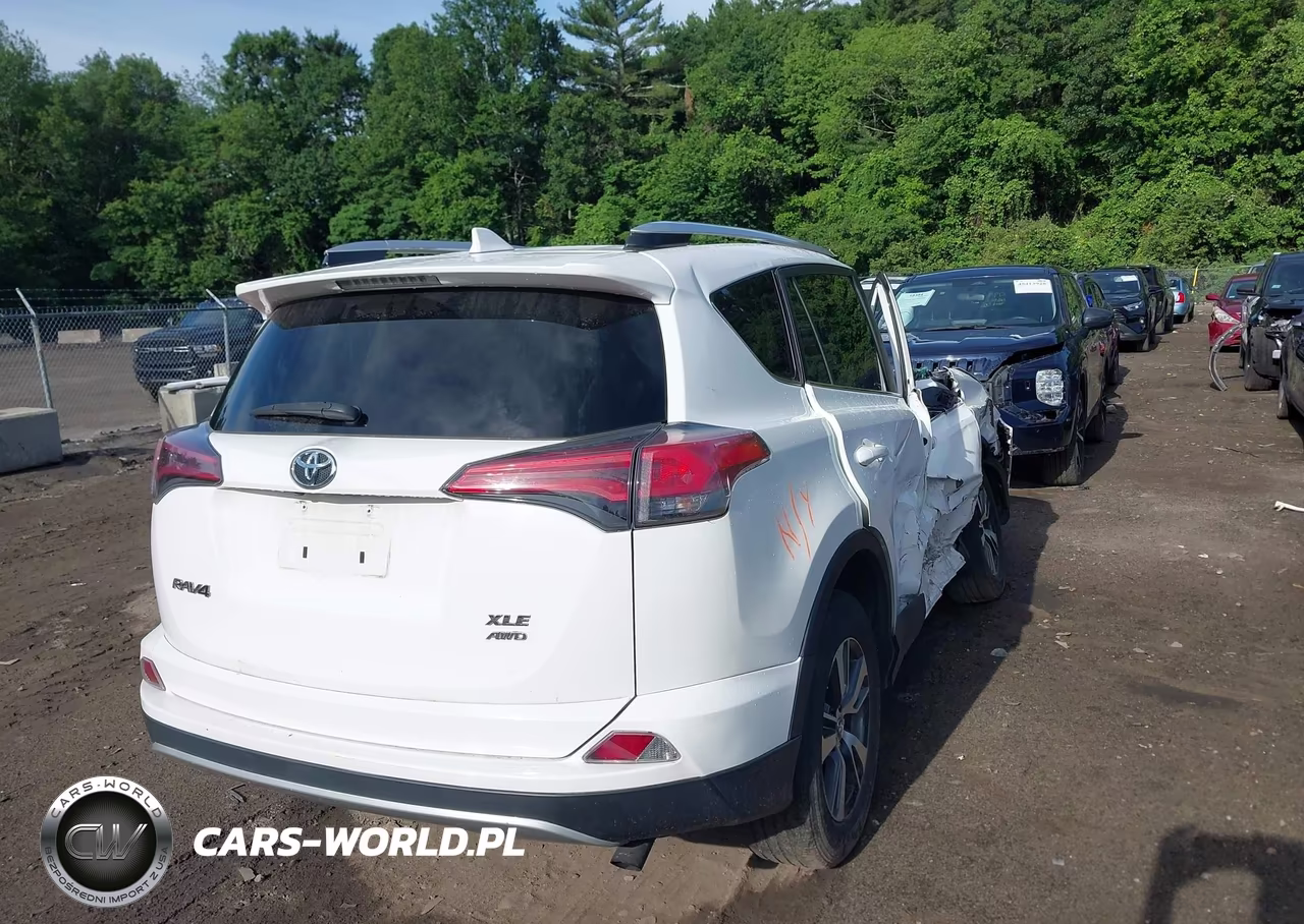 2016 Toyota Rav4 Xle VIN:2T3RFREV4GW506743 - 4