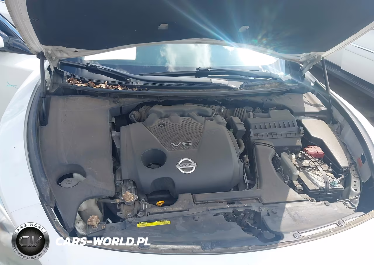2013 Nissan Maxima 3.5 Sv VIN:1N4AA5AP3DC801476 - 10