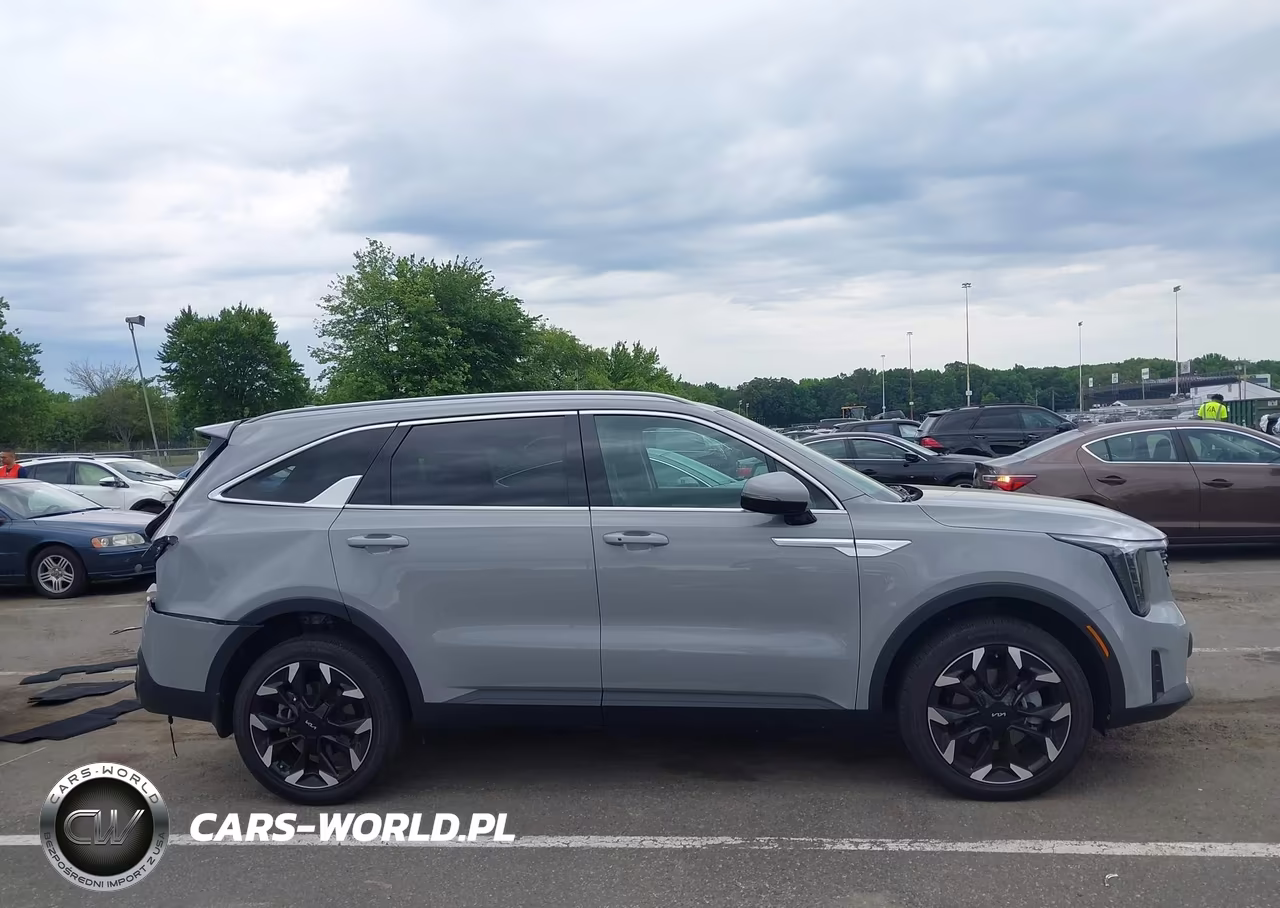 2025 Kia Sorento Ex VIN:5XYRHDJF6SG351521 - 13