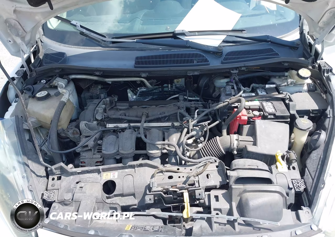 2014 Ford Fiesta Se VIN:3FADP4EJ3EM133982 - 10