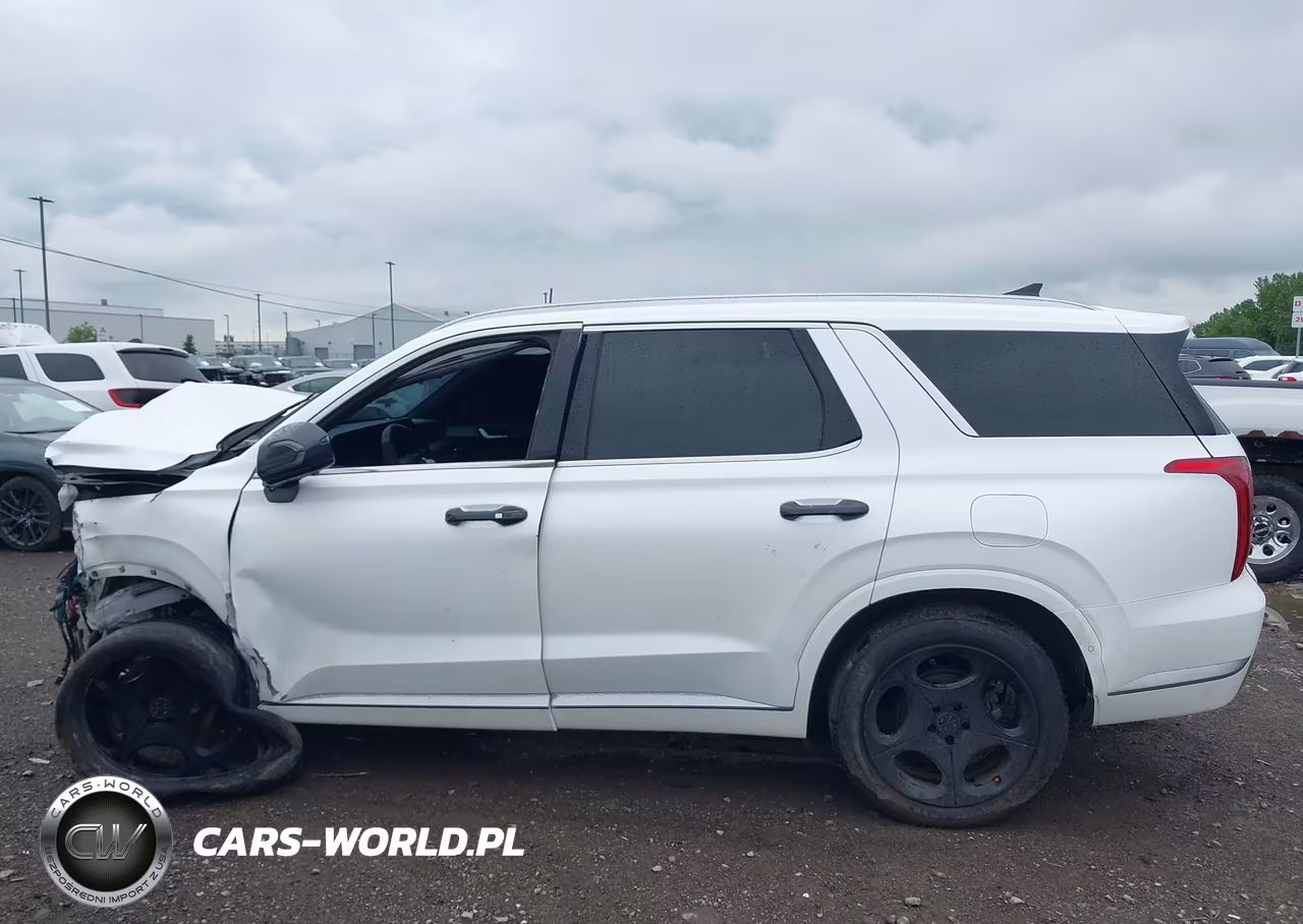 2023 Hyundai Palisade Calligraphy VIN:KM8R7DGE7PU541931 - 14