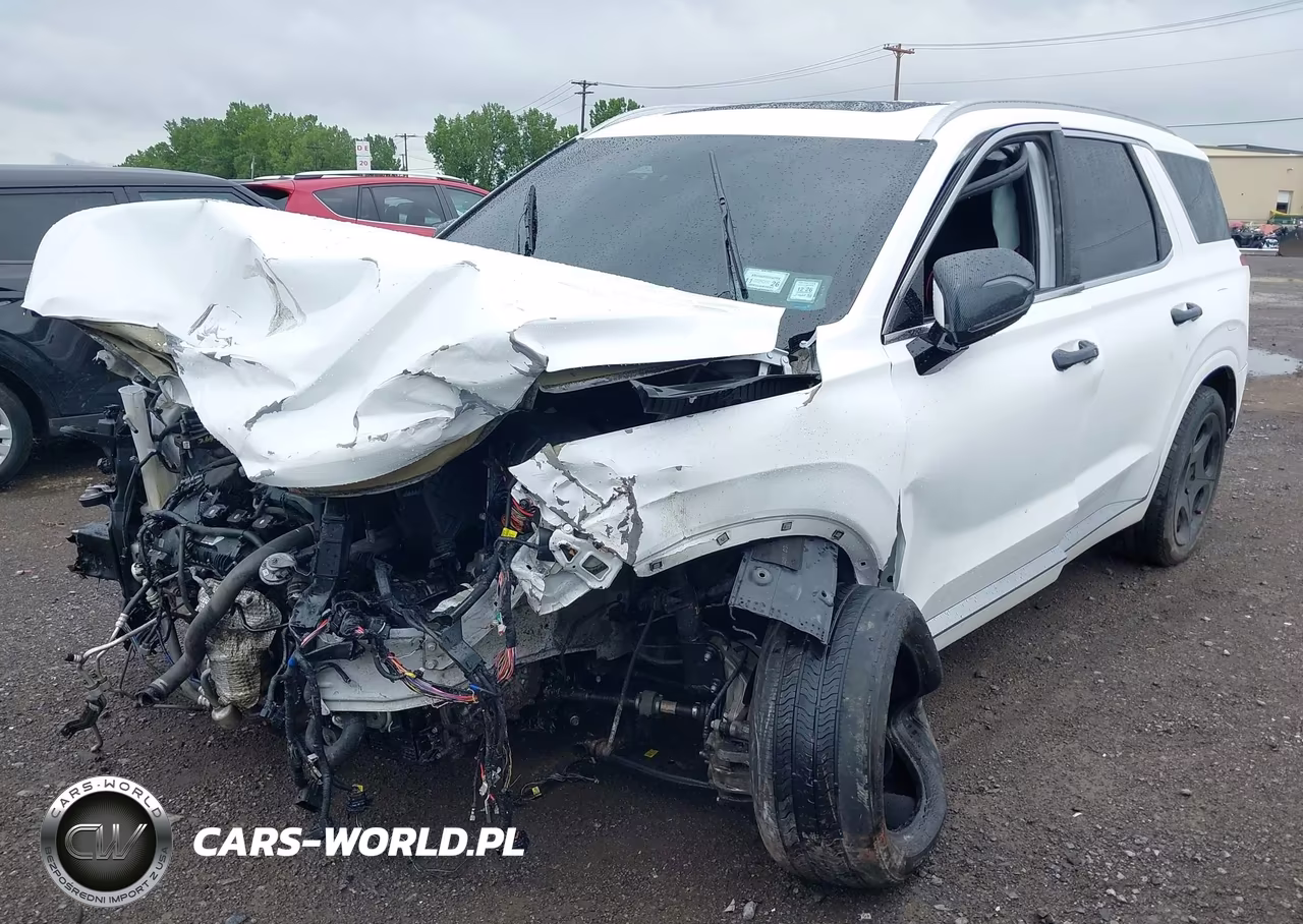 2023 Hyundai Palisade Calligraphy VIN:KM8R7DGE7PU541931 - 2