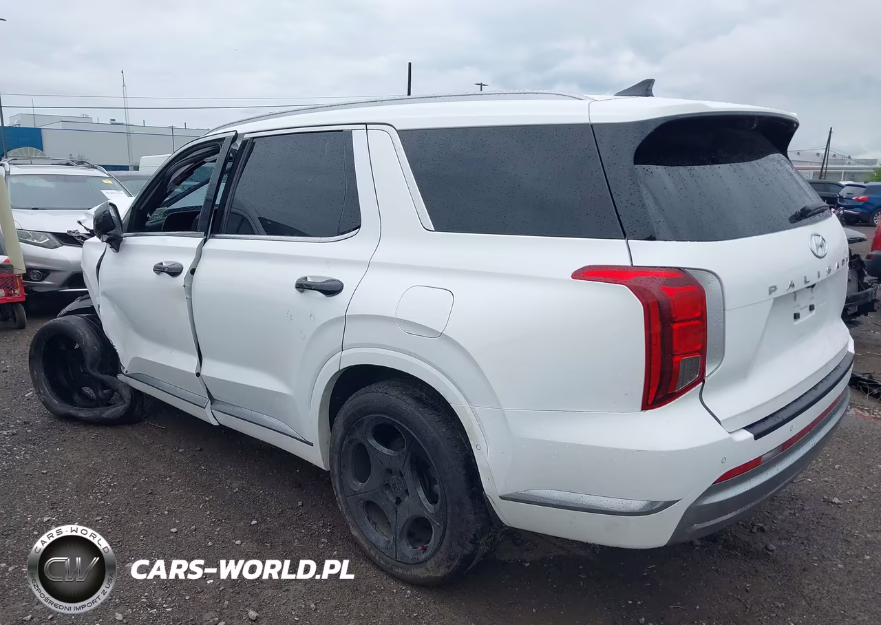 2023 Hyundai Palisade Calligraphy VIN:KM8R7DGE7PU541931 - 3