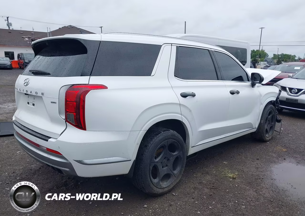 2023 Hyundai Palisade Calligraphy VIN:KM8R7DGE7PU541931 - 4