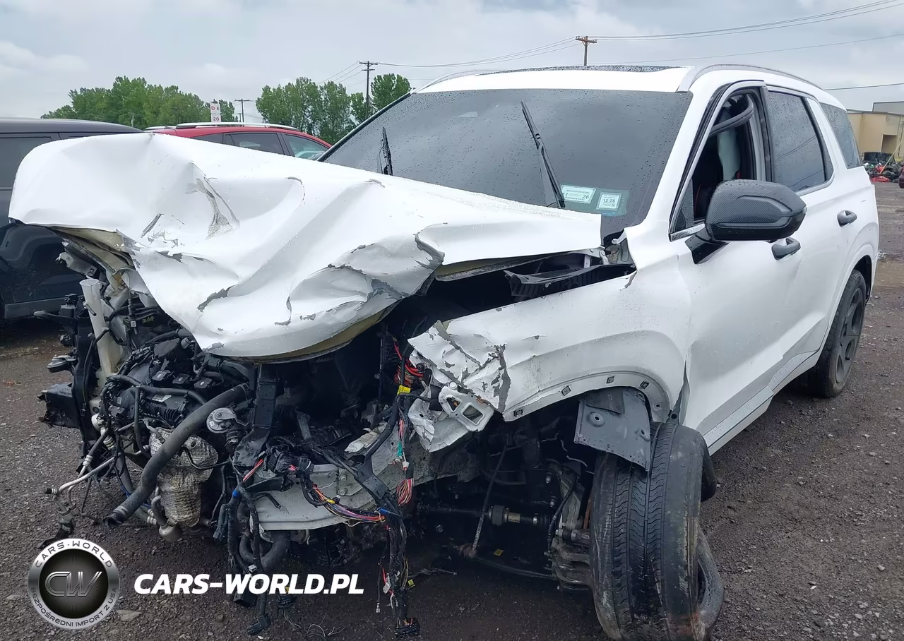 2023 Hyundai Palisade Calligraphy VIN:KM8R7DGE7PU541931 - 6