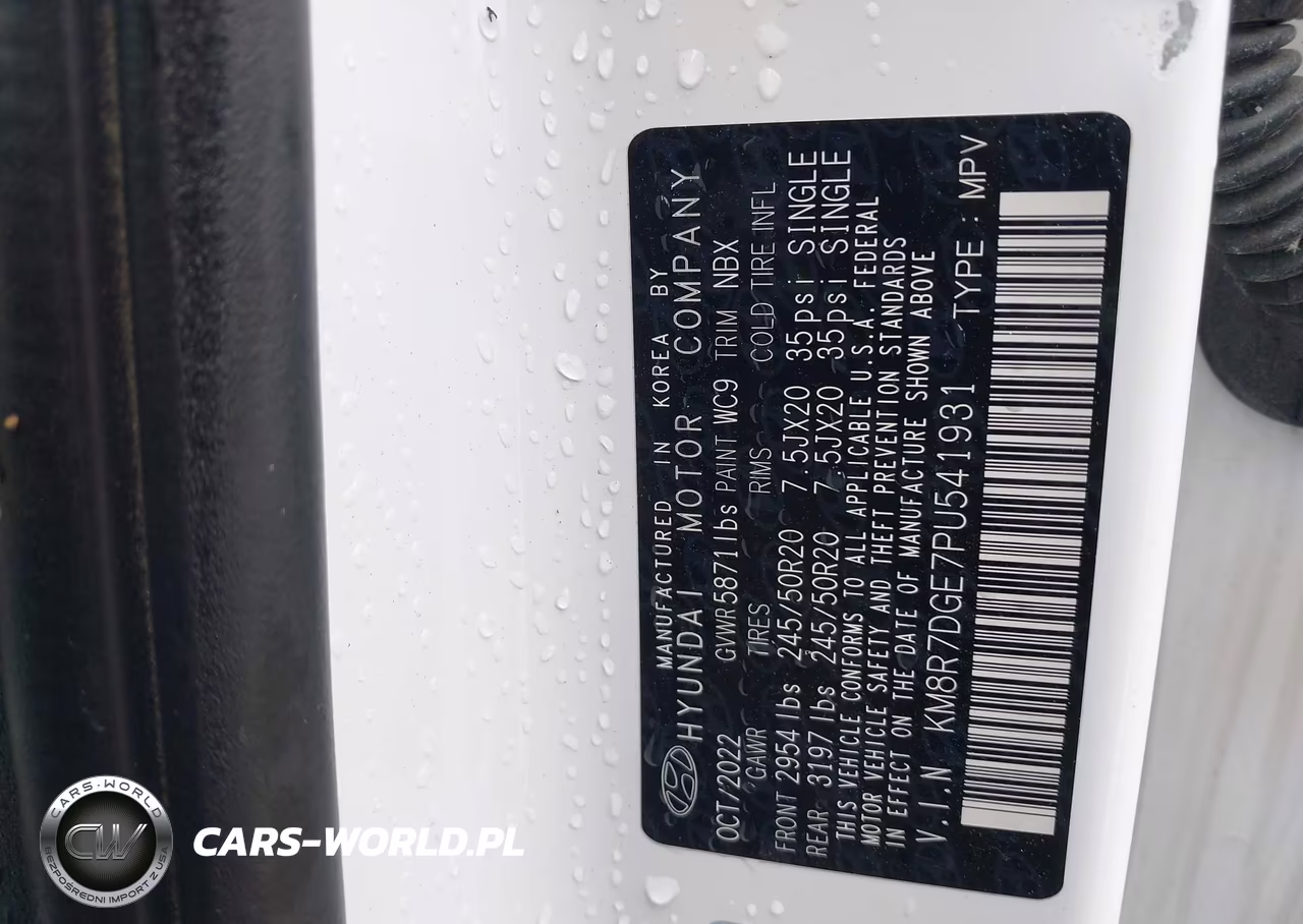 2023 Hyundai Palisade Calligraphy VIN:KM8R7DGE7PU541931 - 9