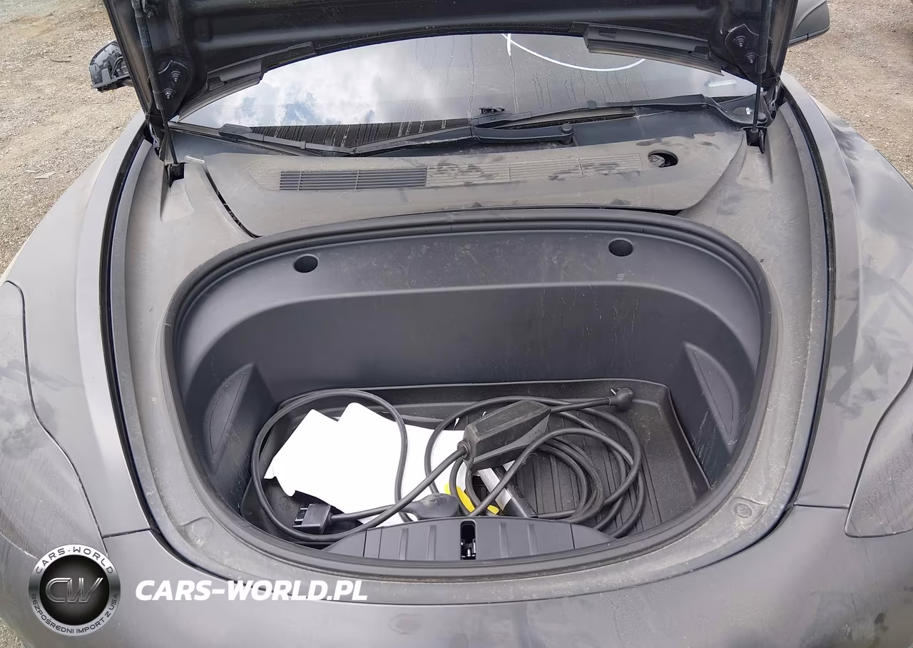 2023 Tesla Model 3 Performance Dual Motor All-Wheel Drive VIN:5YJ3E1EC3PF493336 - 10