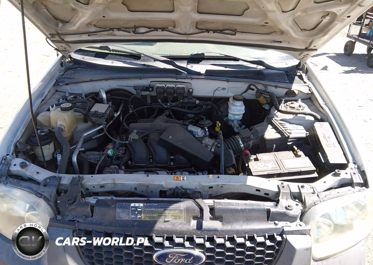 2005 Ford Escape Xlt VIN:1FMYU03145KD41677 - 10