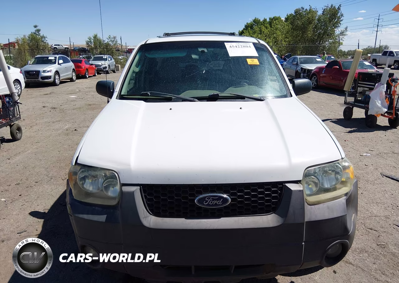 2005 Ford Escape Xlt VIN:1FMYU03145KD41677 - 12