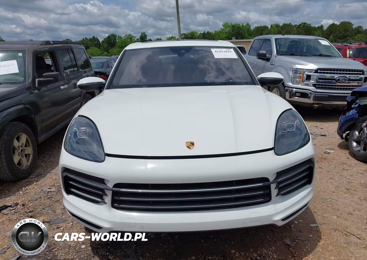 2020 Porsche Cayenne VIN:WP1AA2AY4LDA04114 - 12