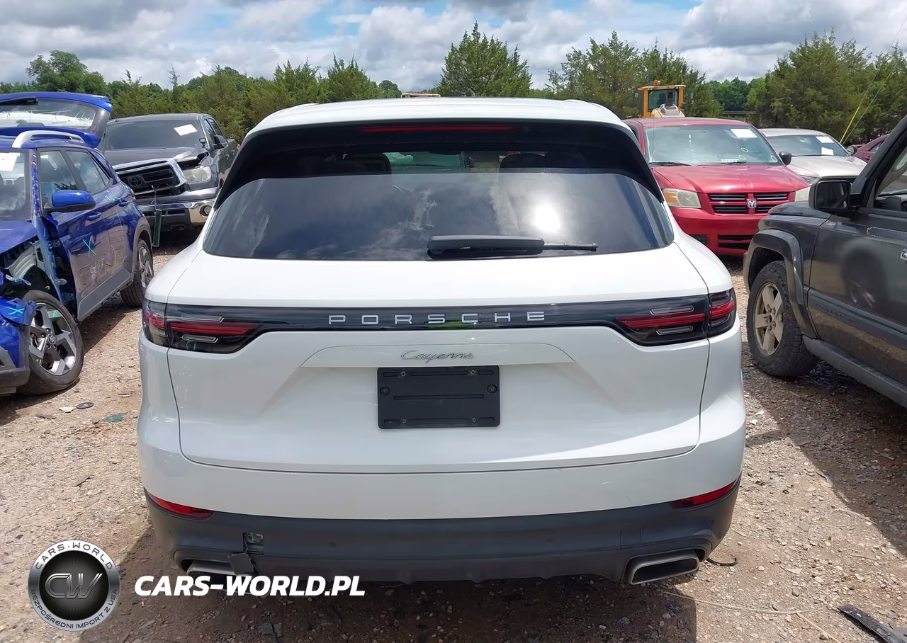 2020 Porsche Cayenne VIN:WP1AA2AY4LDA04114 - 16