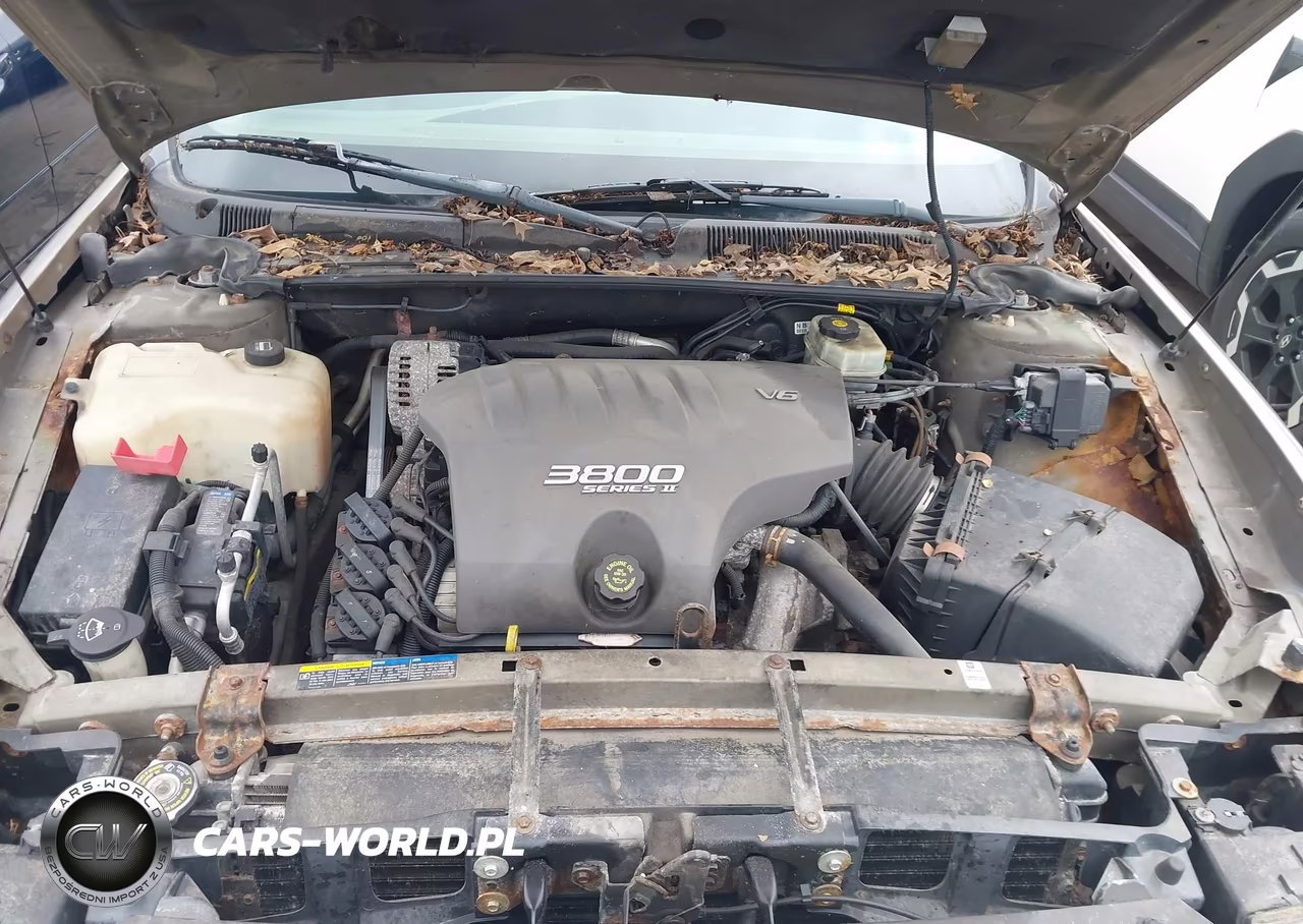2002 Buick Lesabre Custom VIN:1G4HP54K824226706 - 10