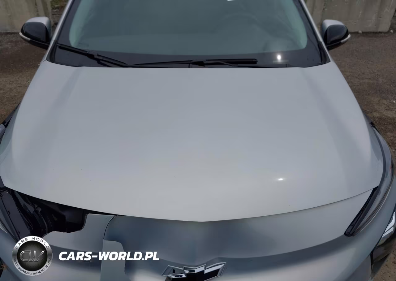 2023 Chevrolet Bolt Euv Fwd Lt VIN:1G1FY6S03P4197146 - 10