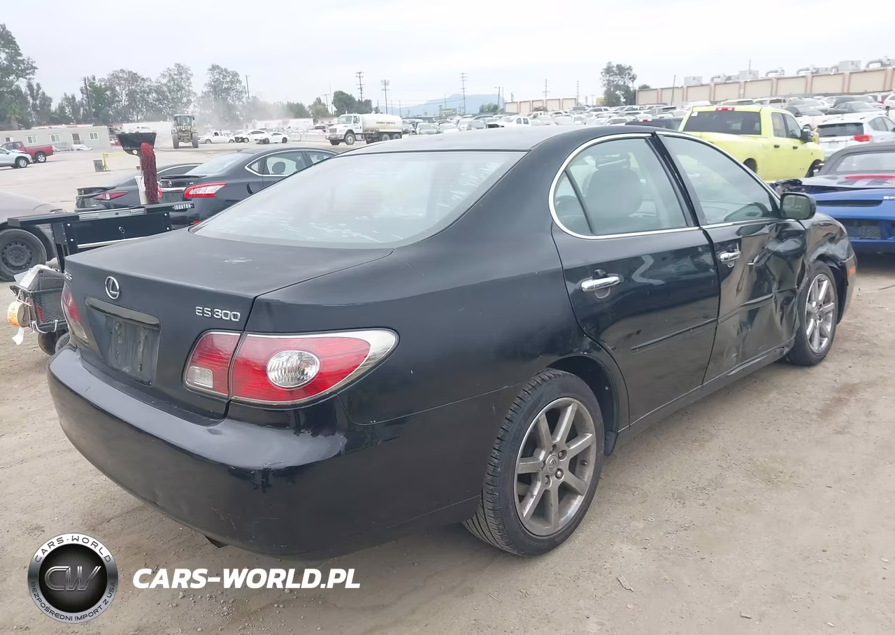 2003 Lexus Es 300 VIN:JTHBF30G130087318 - 4