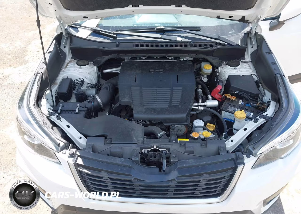 2019 Subaru Forester Premium VIN:JF2SKAGC9KH588477 - 10