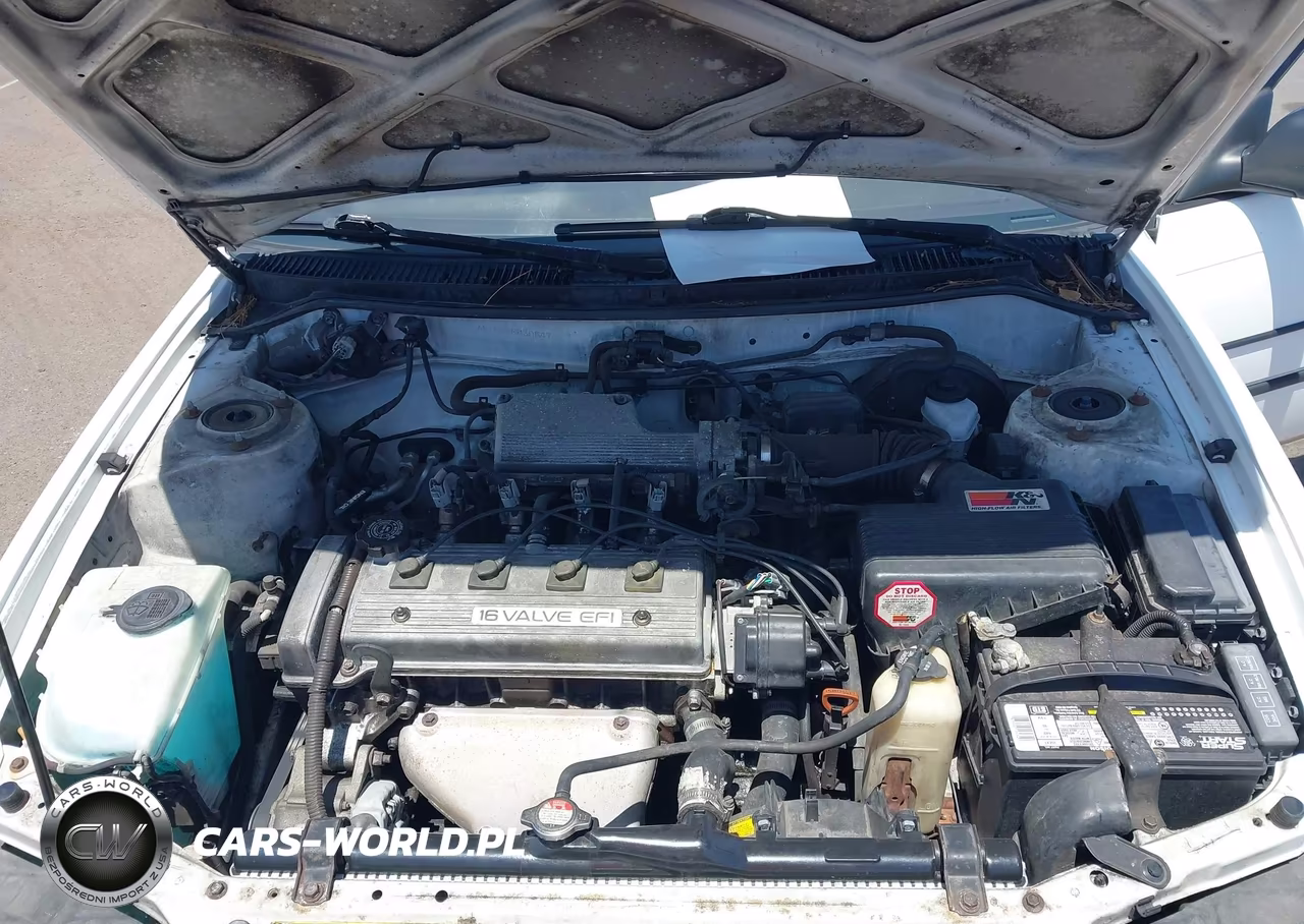 1993 Toyota Corolla Dx VIN:JT2AE09W8P0030847 - 10