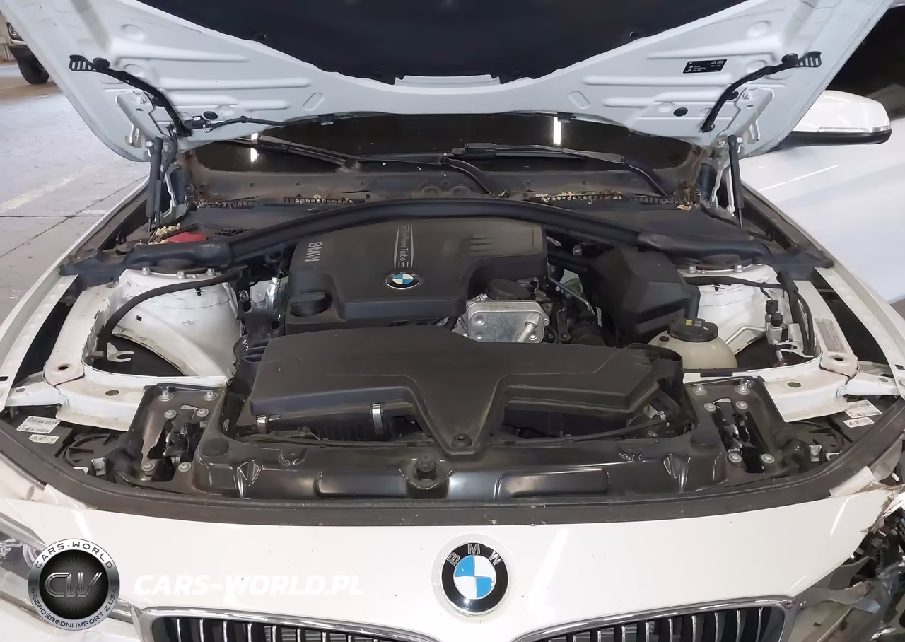 2016 BMW 428I Gran Coupe VIN:WBA4A9C57GGL88482 - 10