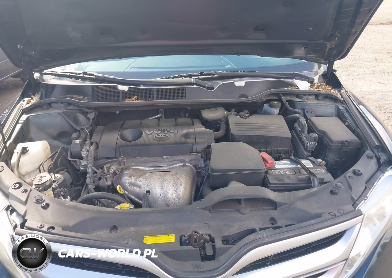 2014 Toyota Venza Le VIN:4T3BA3BB6EU052290 - 10