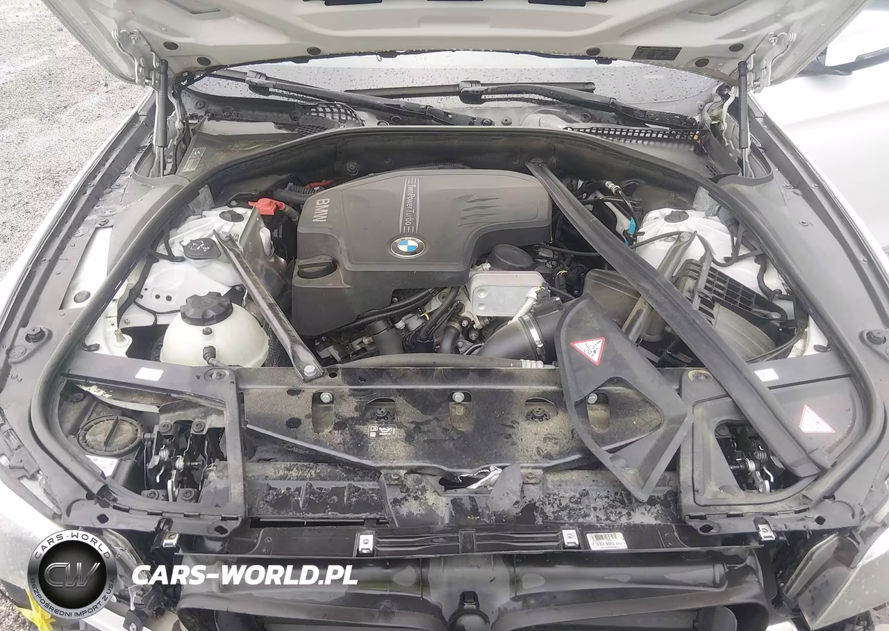 2016 BMW 528I VIN:WBA5A5C54GG348079 - 10