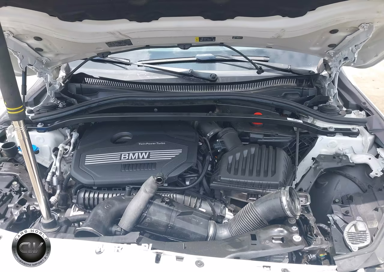 2021 BMW 228I VIN:WBA53AK01M7H33929 - 10