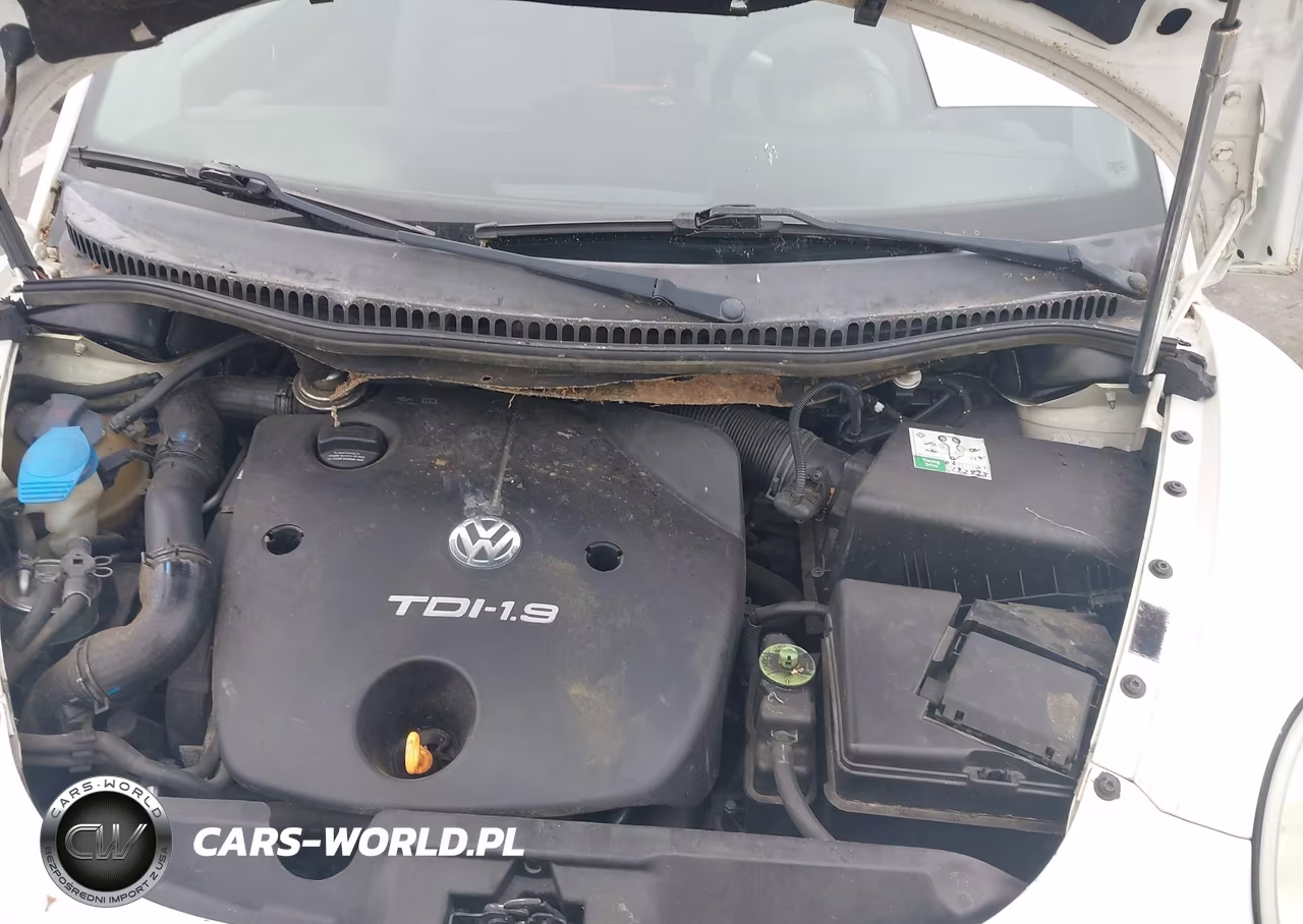 2001 Volkswagen New Beetle Gls Tdi VIN:3VWCP21C41M421454 - 10