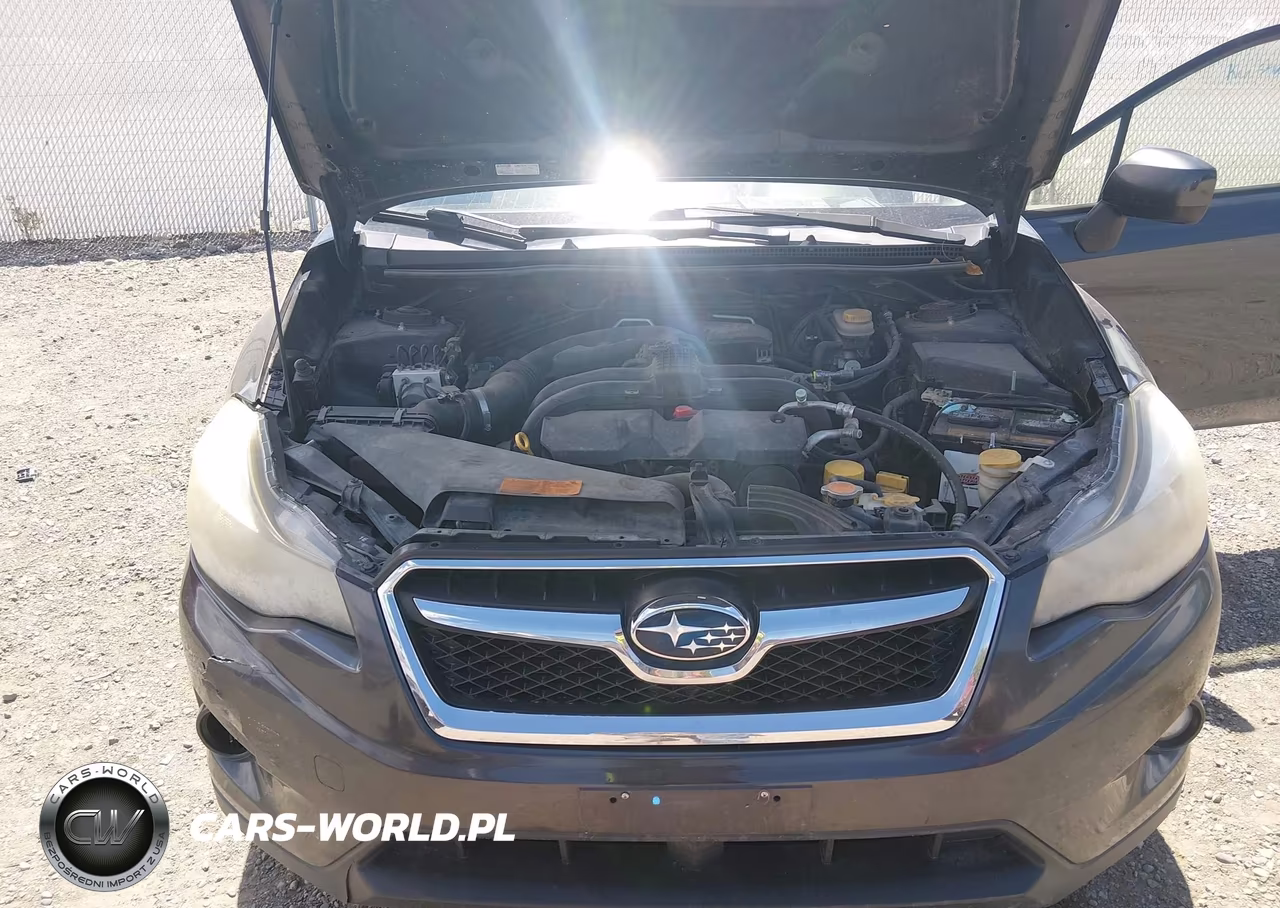 2013 Subaru Xv Crosstrek 2.0I Limited VIN:JF2GPAKC1D2828691 - 10